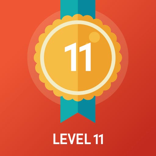 level-11