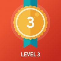 level-3