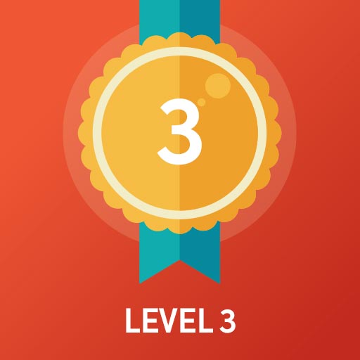 level-3